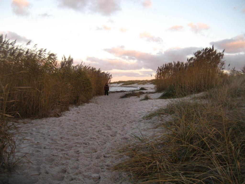 Hof Seebrookquelle Schlesen Zewnętrze zdjęcie